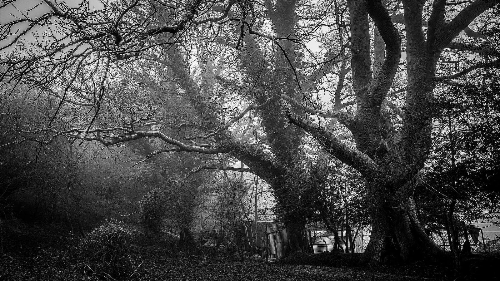 happy ghast: 완전 가이드 (2026)